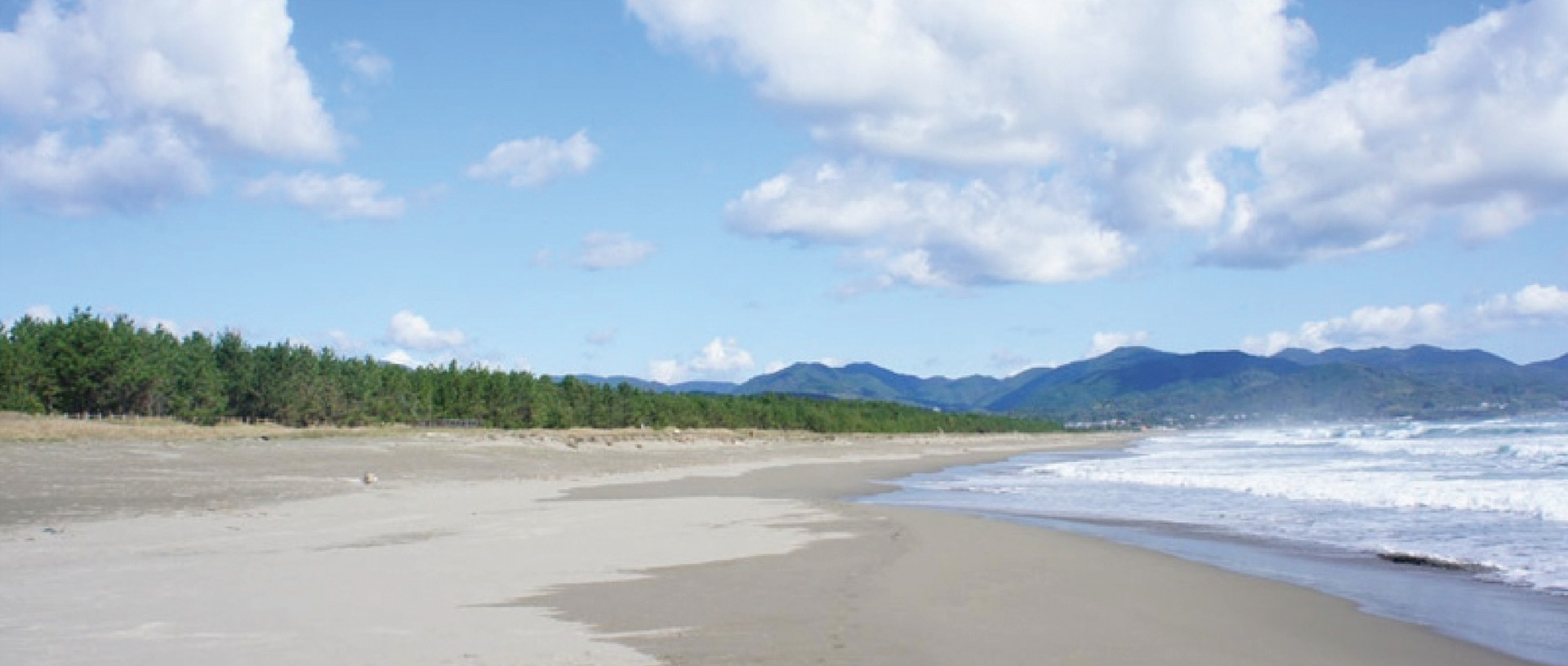 作品に関する風景画像