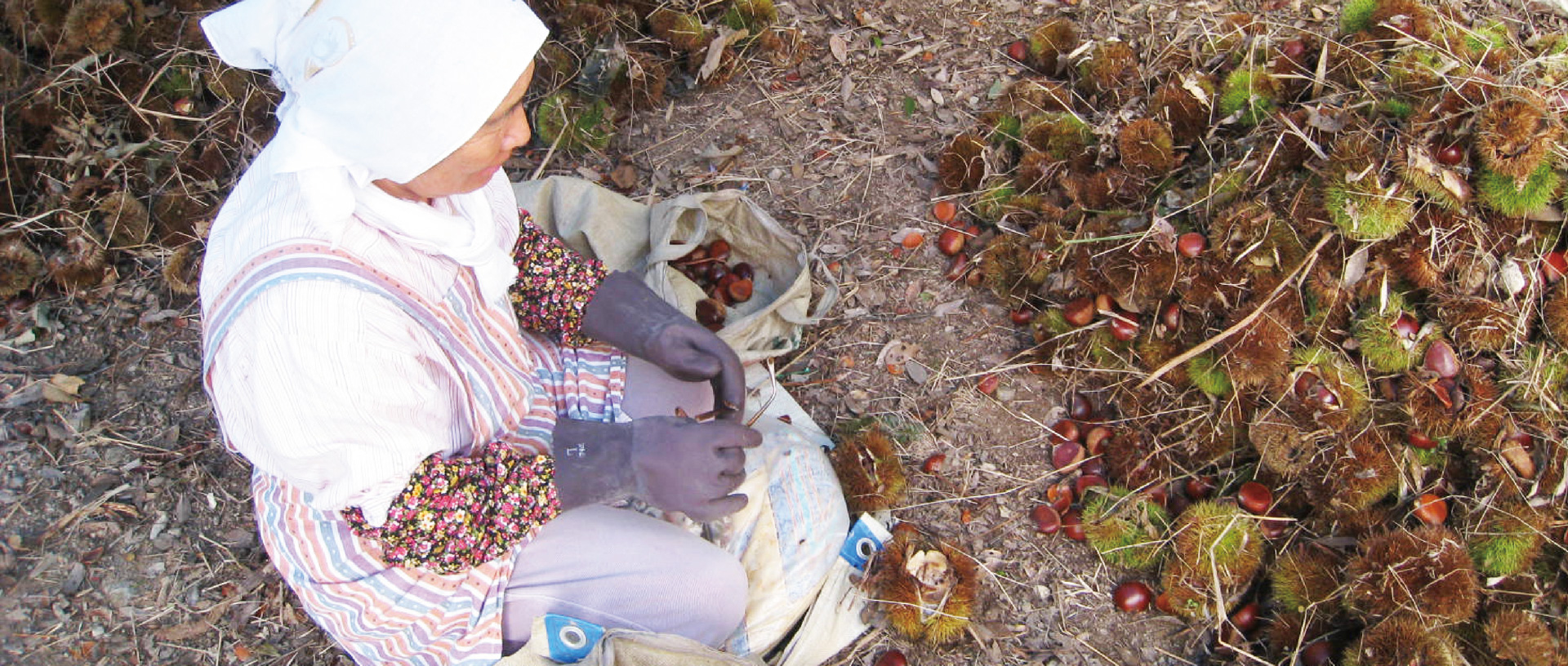 作品に関する風景画像