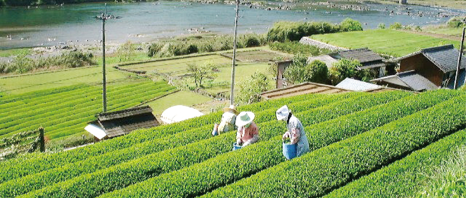 作品に関する風景画像