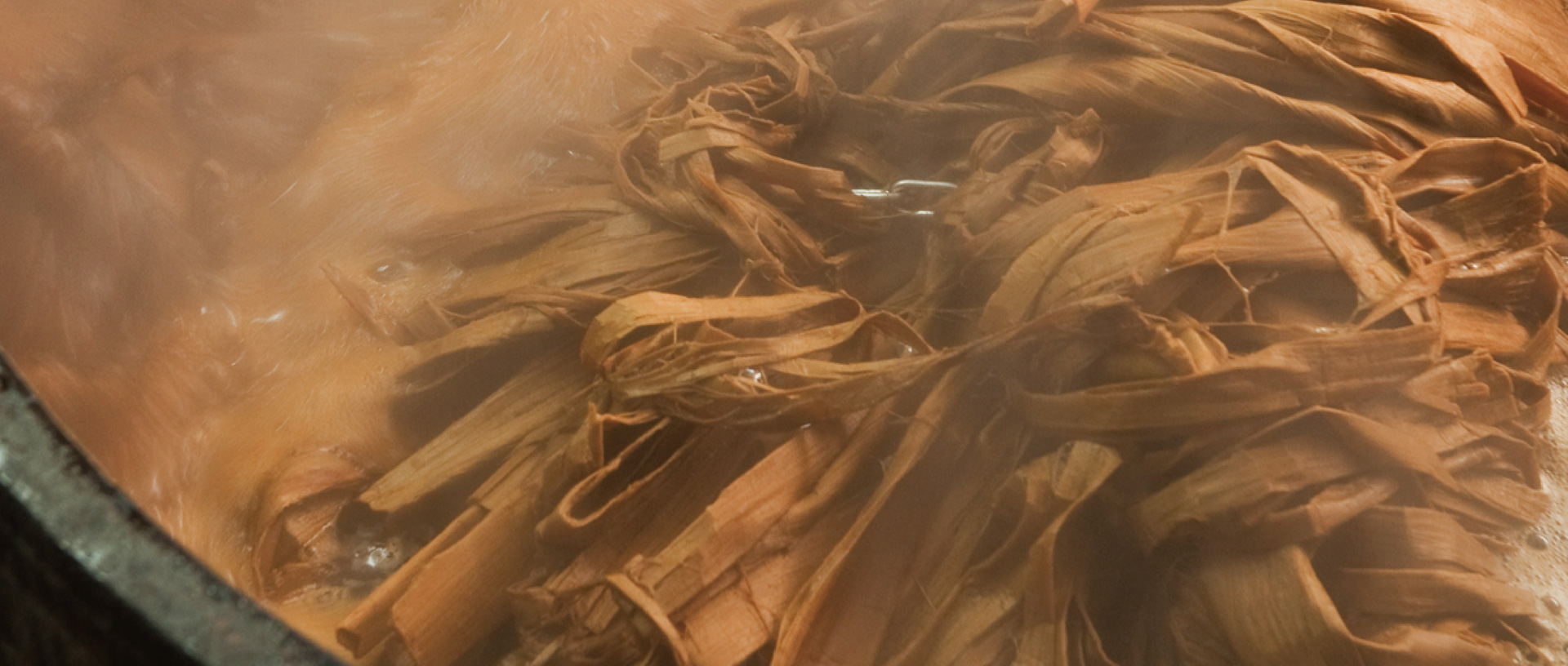 作品に関する風景画像