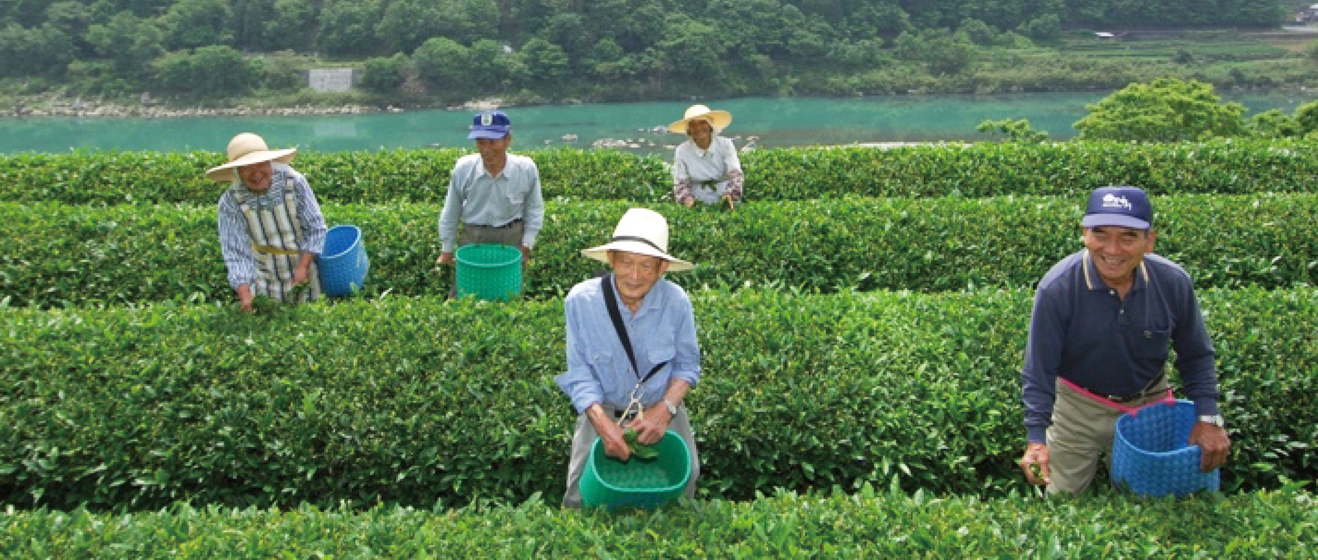 作品に関する風景画像