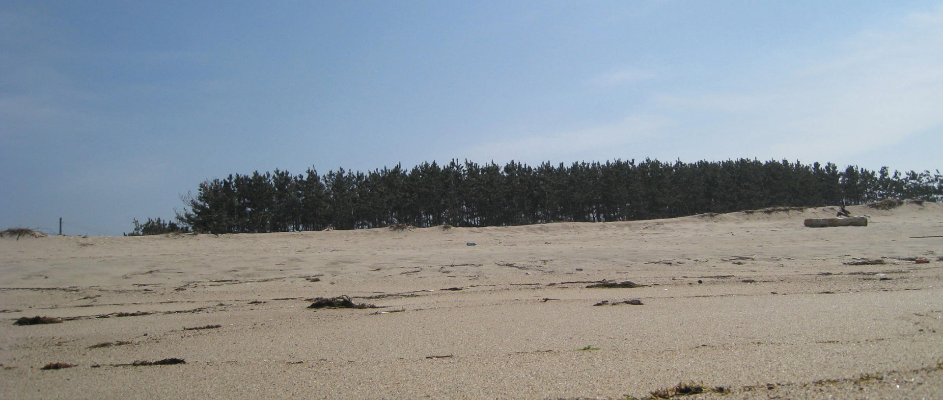 作品に関する風景画像