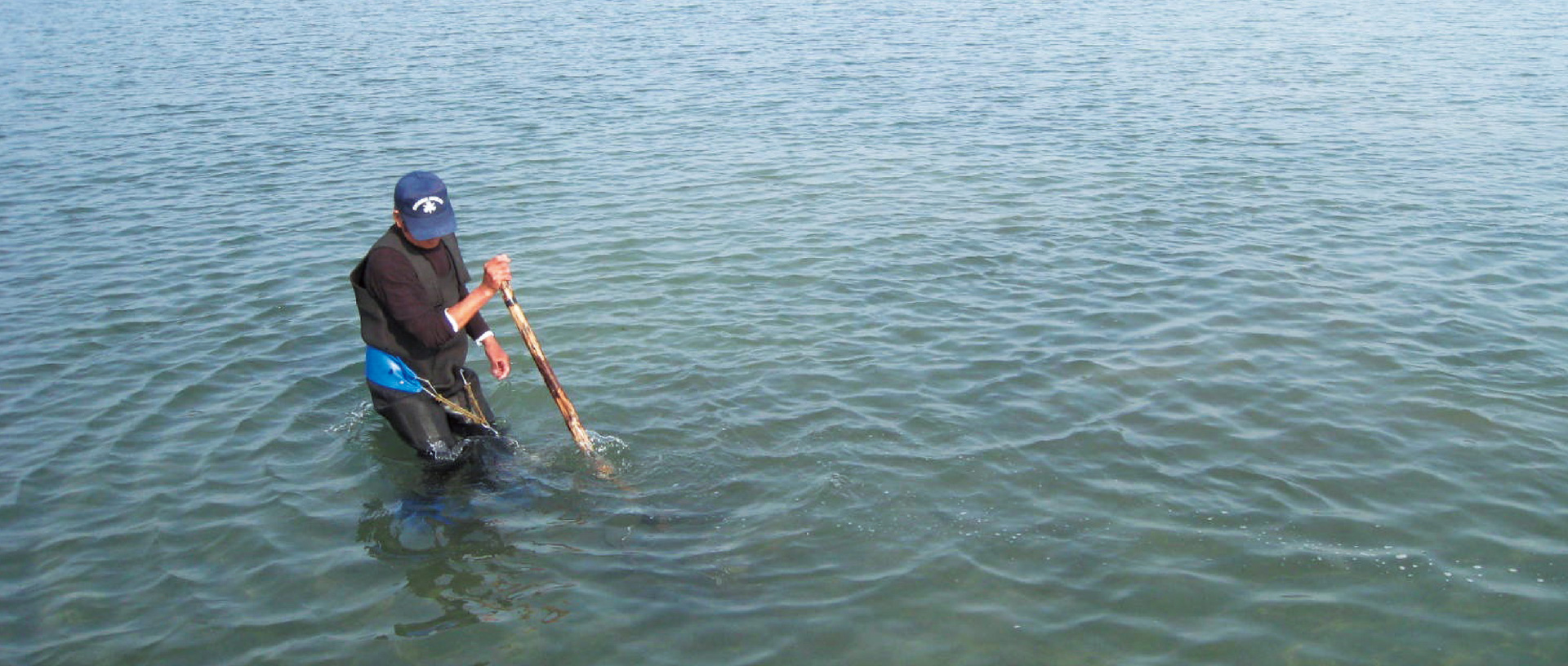 作品に関する風景画像