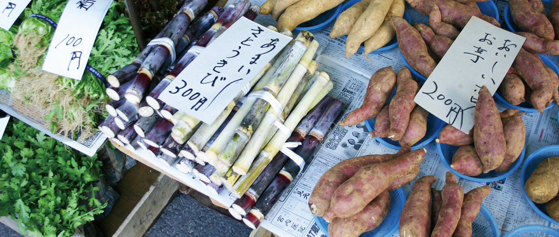 作品に関する風景画像