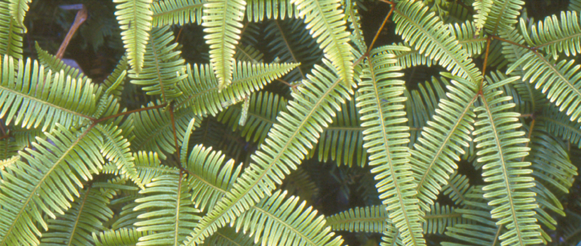 作品に関する風景画像