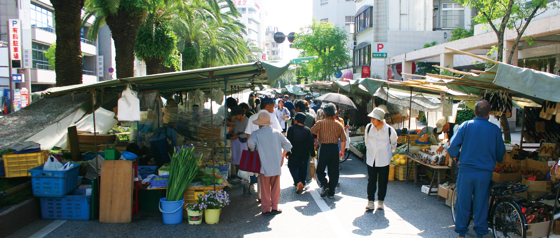 作品に関する風景画像