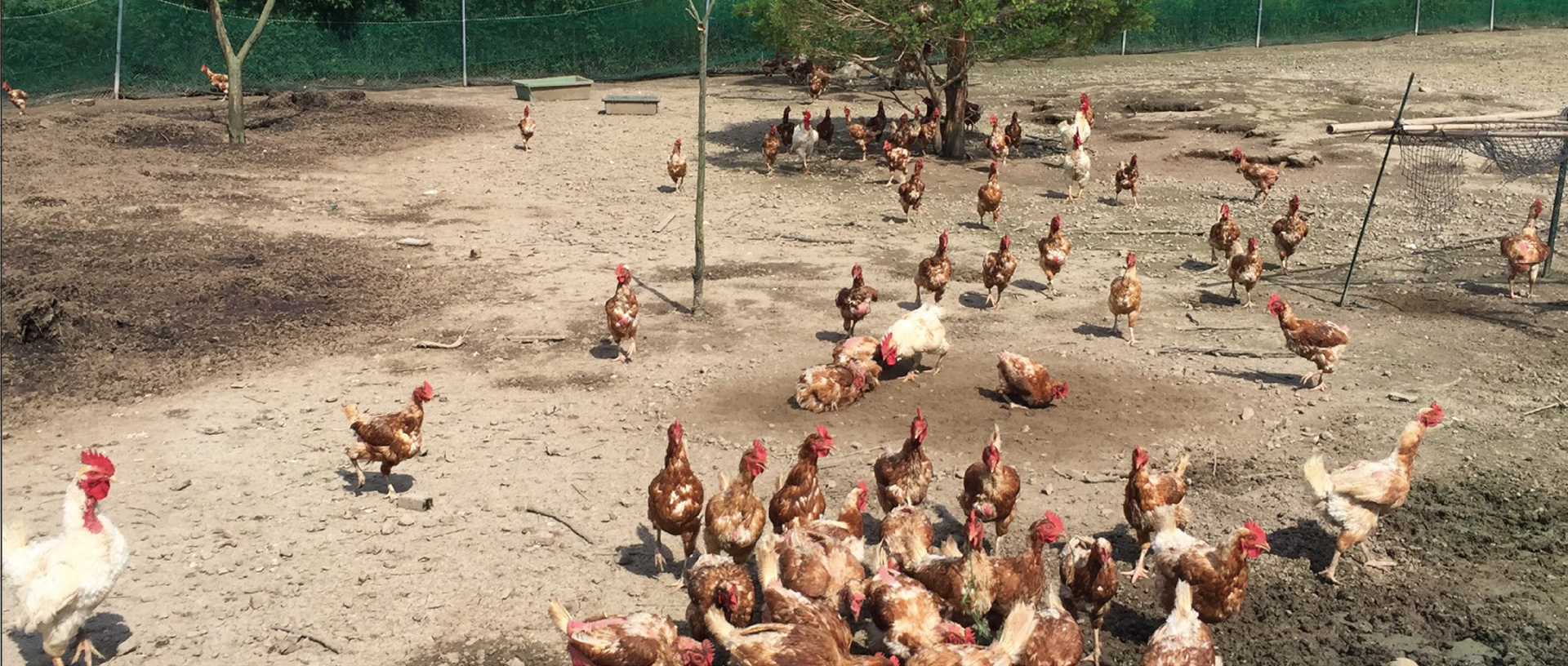 作品に関する風景画像