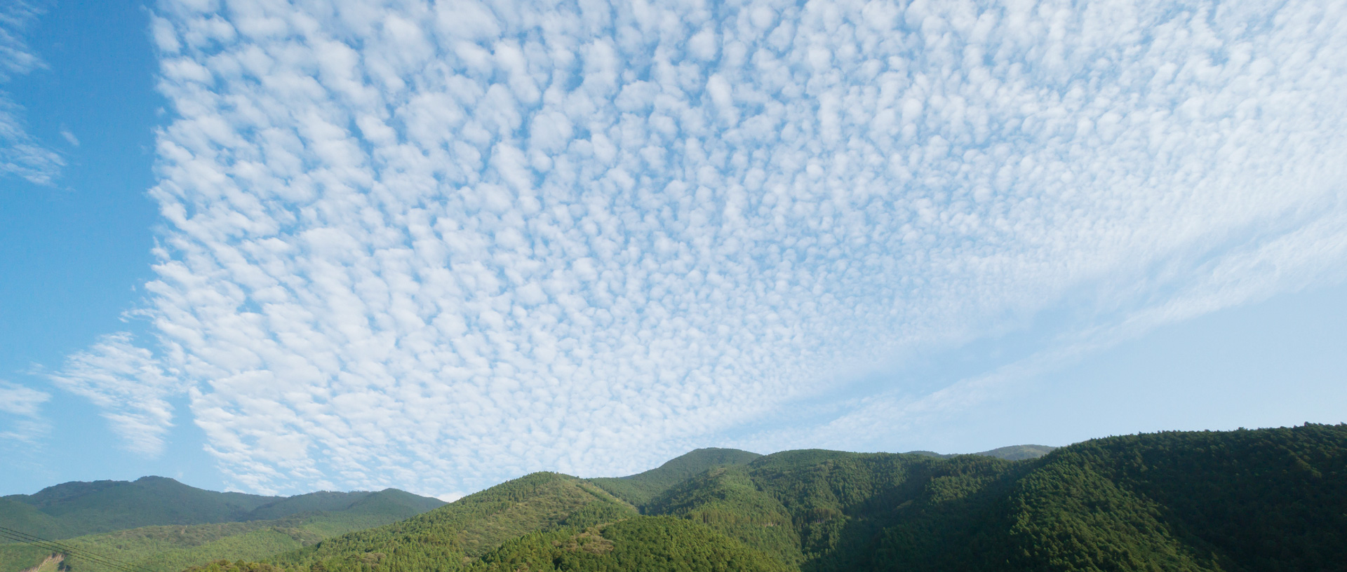 作品に関する風景画像