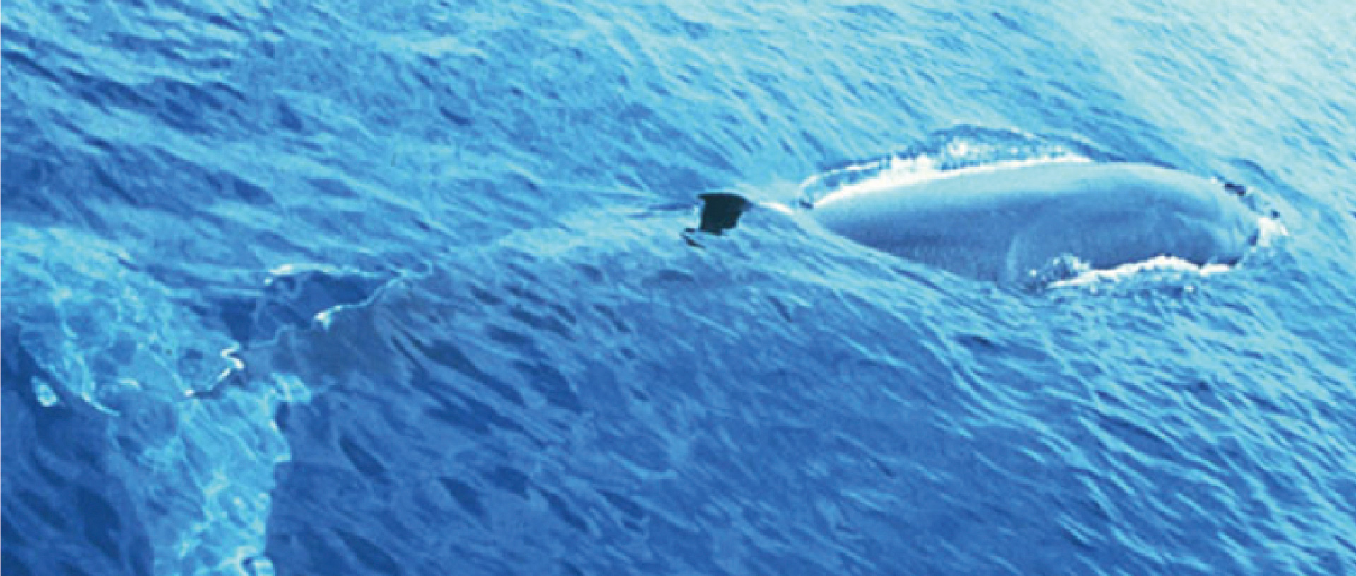 作品に関する風景画像