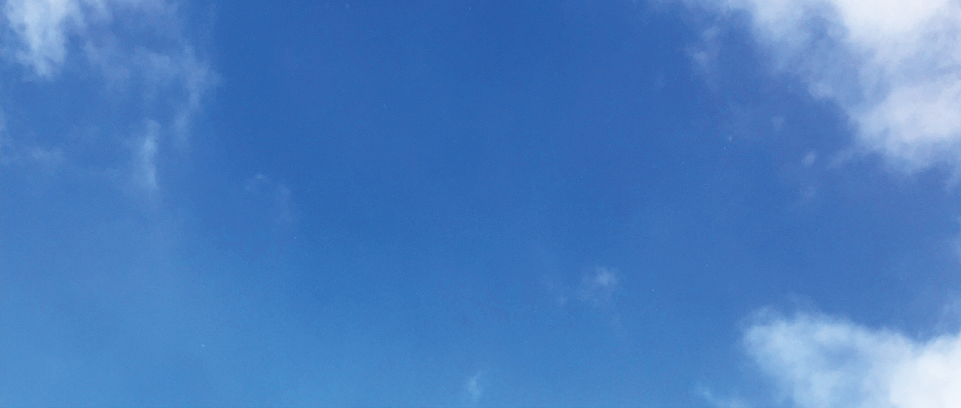 作品に関する風景画像